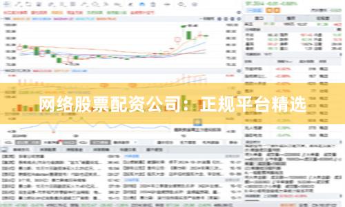 网络股票配资公司：正规平台精选
